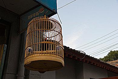 《人中之龙８》《P3R》祭出半价盛惠 “SEGA五月精选促销”全场低至4折